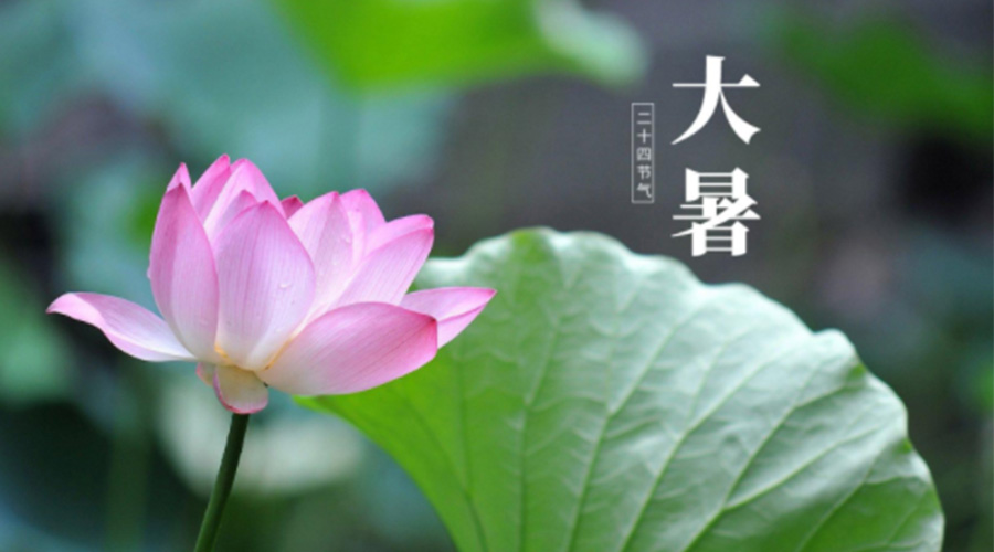 大暑時(shí)節(jié)！金環(huán)電器提醒大家注意這些干衣細(xì)節(jié)