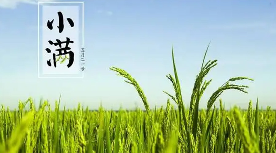 小滿時(shí)節(jié)！金環(huán)電器提醒大家要注意的事項(xiàng)