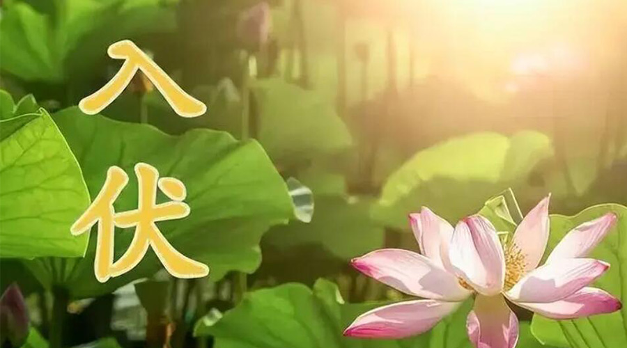 入伏天來襲！金環(huán)電器提醒大家要注意的事項(xiàng)