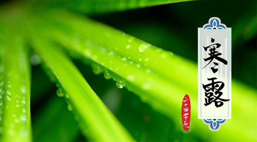 寒露時(shí)節(jié)到！金環(huán)電器提醒這些干衣事項(xiàng)要注意