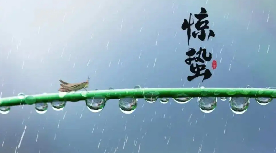 驚蟄時節(jié)！金環(huán)電器提醒大家干衣要注意這些