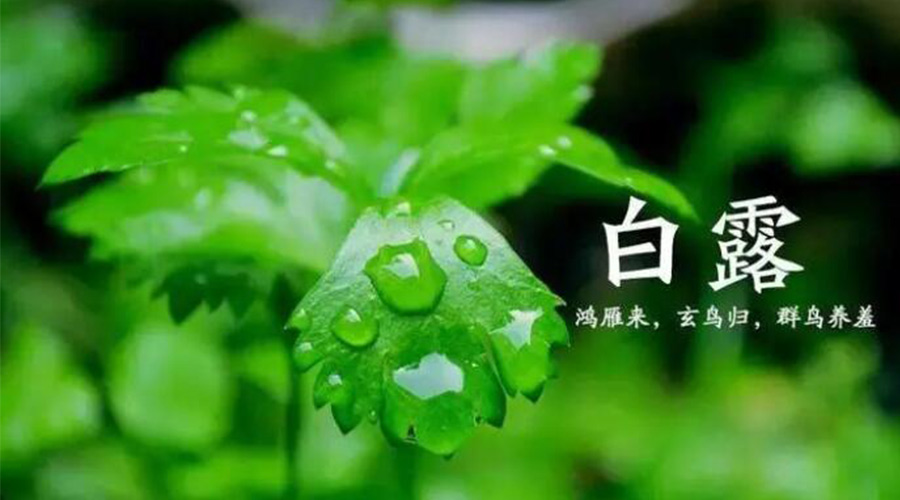 白露時節(jié)！金環(huán)電器提醒大家要注意的事項
