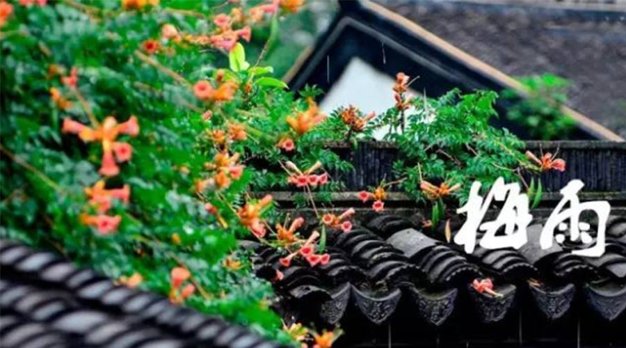什么是梅雨？梅雨如何形成？  金環(huán)電器告訴你答案